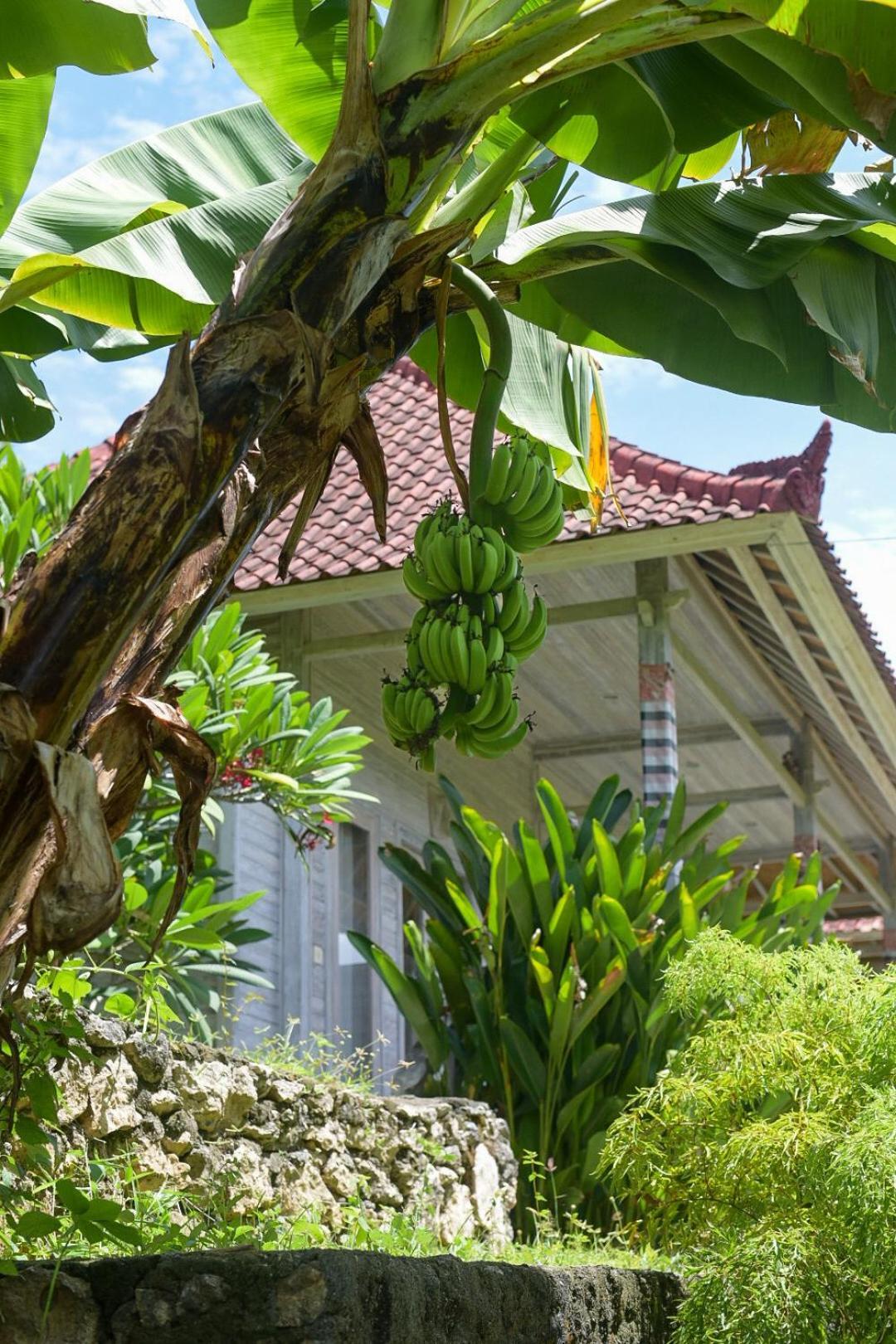 Hotel Mesari Hut Lembongan Exterior foto